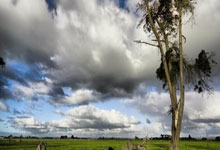 纳达尔官方宣布大比分获胜新规，切尔西引发争议！